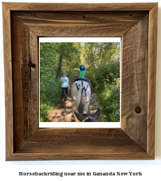 horseback riding near me in Gananda, New York